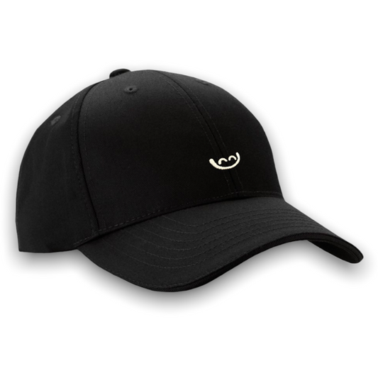 RDV LOGO CAP 6 PANEL